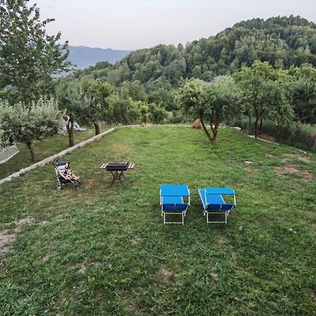 Vila Ella Villa Capatineni-Ungureni ภายนอก รูปภาพ